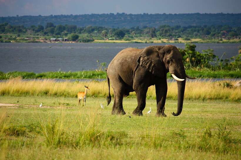 Sri Lanka Cultural Triangle Private 2-Day Tour+Wildlife Tour - What the $295 price really covers