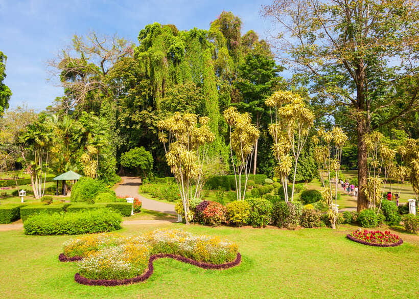 Sri Lanka Cultural Triangle Private 2-Day Tour+Wildlife Tour - Transport, group size, and the long hours