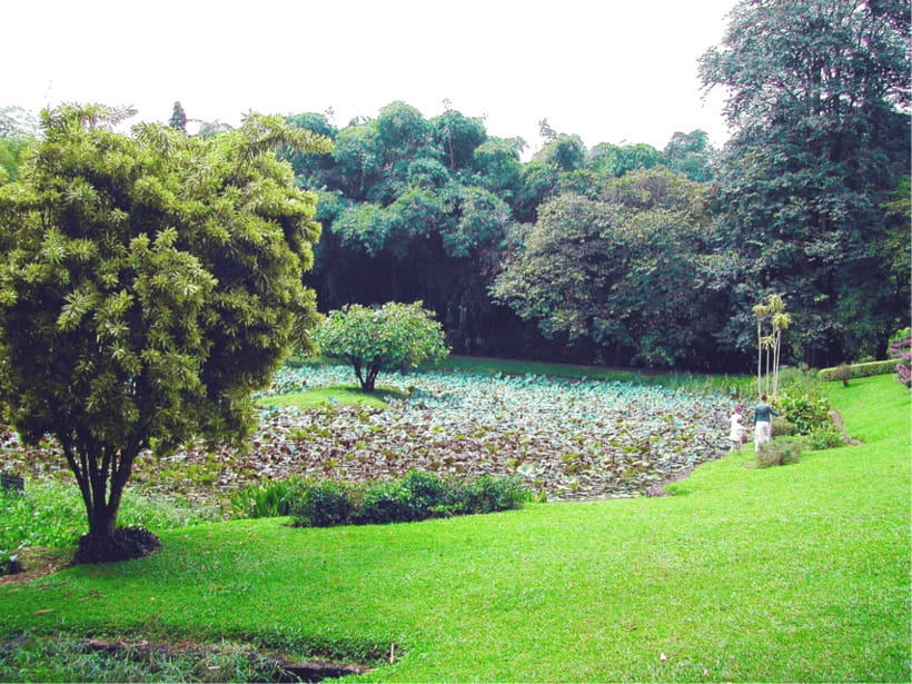 Sri Lanka Cultural Triangle Private 2-Day Tour+Wildlife Tour - Who will enjoy this tour most