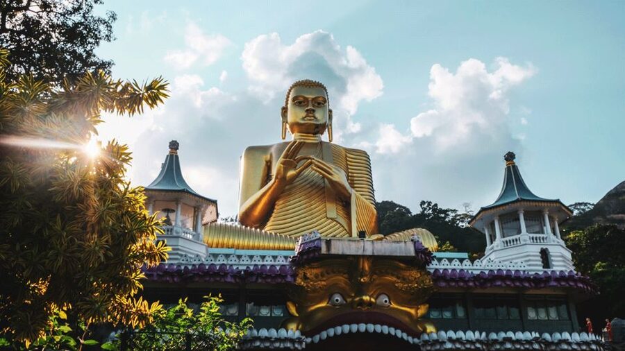 Sri Lanka Cultural Triangle Private 2-Day Tour+Wildlife Tour - Should you book this two-day Sri Lanka tour?