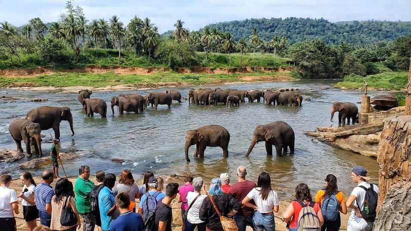 Sri Lanka : Day Tour to Pinnawala Wildlife Orphanage & Zoo - What the $199 price covers