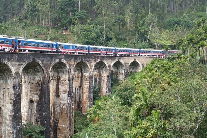 Sri Lanka Ella Private Day Tour Nine Arch & Elephant transit home - Why this Ella day trip works from Kalutara