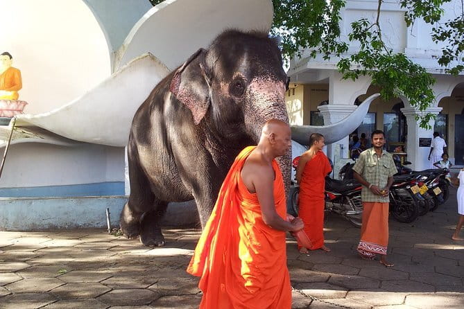 Sri Lanka Ella Private Day Tour Nine Arch & Elephant transit home - Ravana Ella Falls and the legend of King Ravana