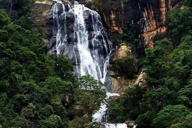 Sri Lanka Ella Private Day Tour Nine Arch & Elephant transit home - Is $190 per person good value?