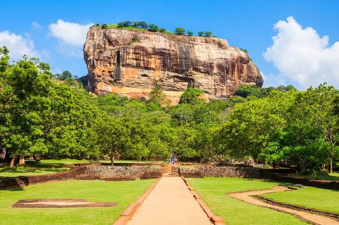 Sri Lanka Ella Private Day Tour Nine Arch & Elephant transit home - Who will enjoy this tour most?