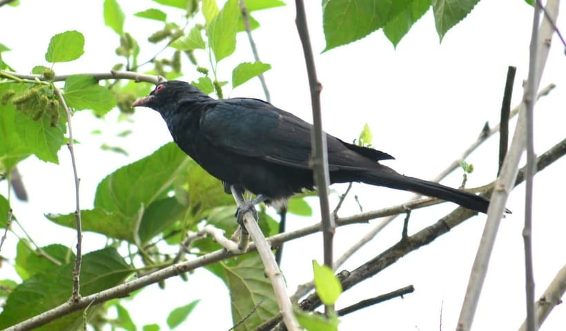 Sri Lanka Green Bless- 2-day Private Trip To Enjoy Nature - Five things to know before booking