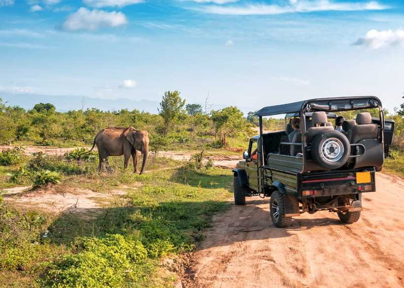 Sri Lanka Green Bless- 2-day Private Trip To Enjoy Nature - The southern coast: beaches between wildlife stops