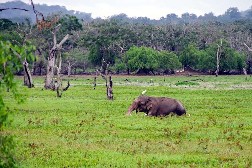 Sri Lanka Green Bless- 2-day Private Trip To Enjoy Nature - Galle Fort: a short historical walk