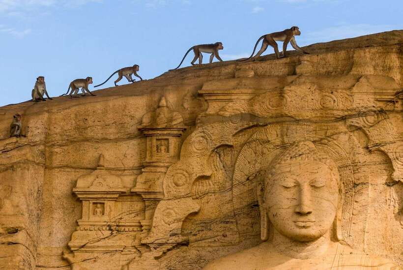 Sri Lanka Heritage Sites: 6-Day Private Guided Tour - Why this six-day route works