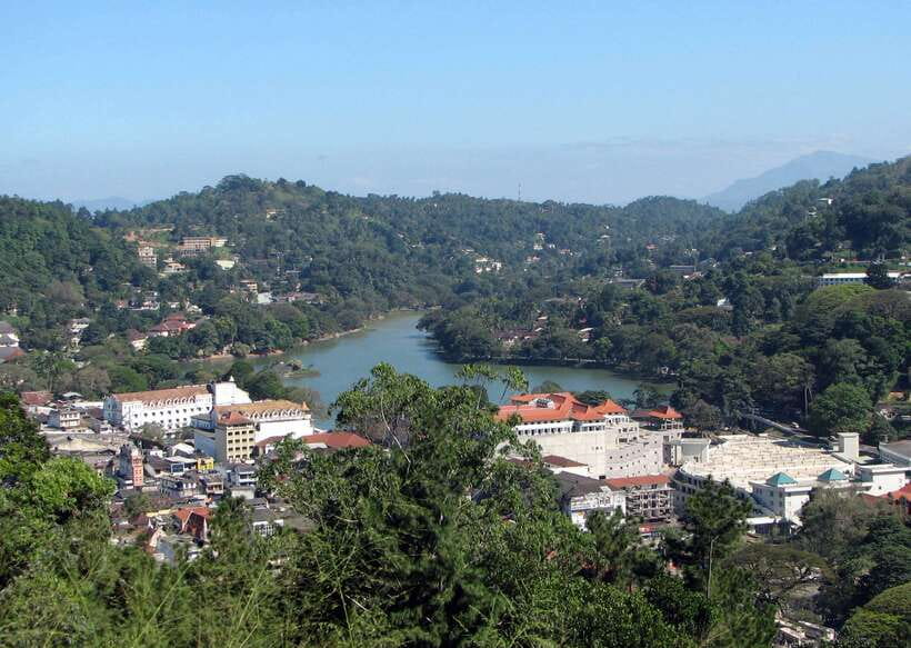 Sri Lanka Heritage Sites: 6-Day Private Guided Tour - Day 4: Peradeniya and the road into tea country