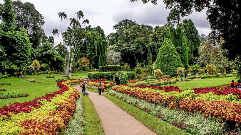 Sri Lanka Heritage Sites: 6-Day Private Guided Tour - What the $699 price really covers