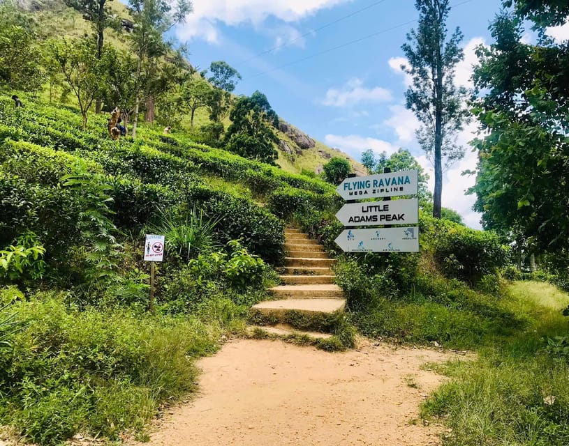 Sri Lanka, Kandy: Hill Country 3-Day Private Tour - Day 3: Ella Rock, Nine Arch Bridge, and tea country