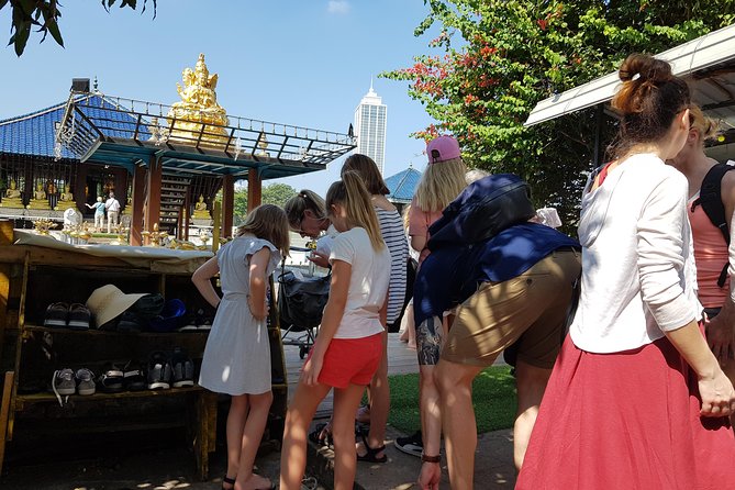 Sri Lanka Multi-Day Private Tour with Driver and Vehicle - Why a private vehicle works well in Sri Lanka