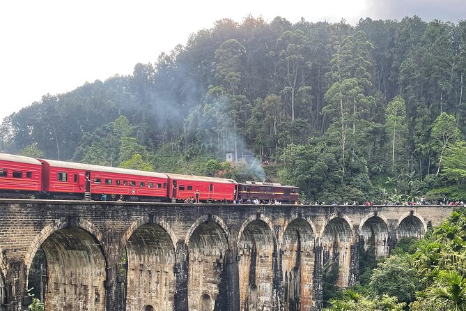 Sri Lanka Personal Tour Driver in private vehicle - Key points to know before booking