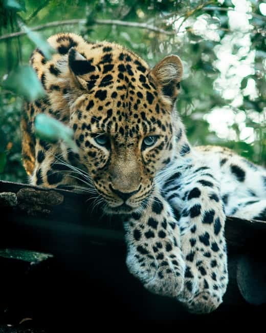 Sri Lanka Private 10-Day Round Tour Car, Guide, Hotels, Food - Key points before you book