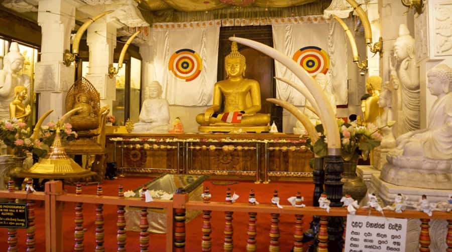 Sri Lanka Private 2-day Tour:Train Trip, Kandy, Nuwara Eliya - Key points to know before booking