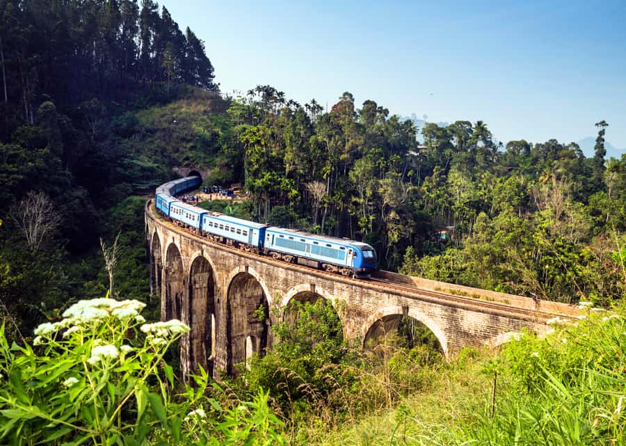 Sri Lanka Private 2-day Tour:Train Trip, Kandy, Nuwara Eliya - Day two: the blue train through Sri Lanka’s high country