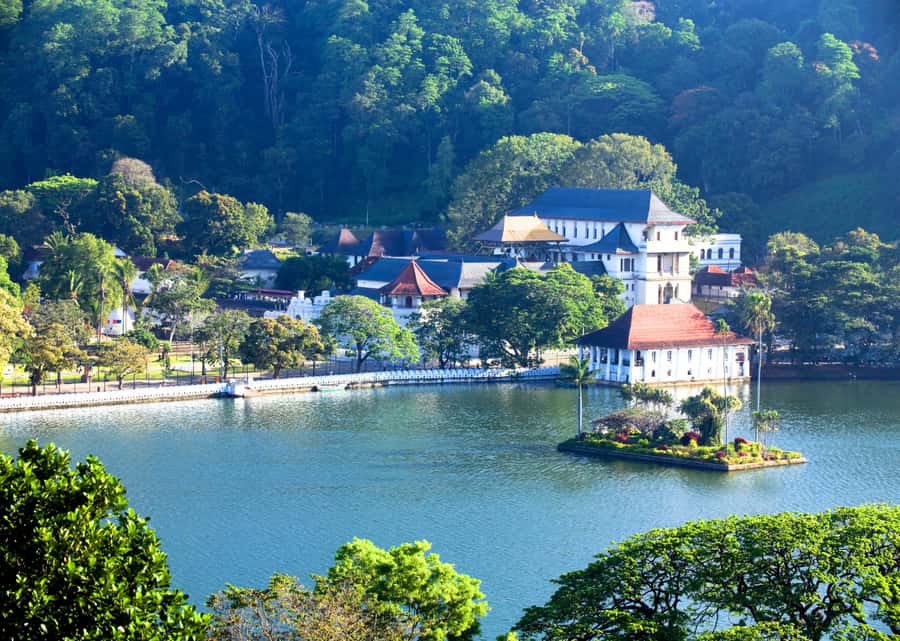 Sri Lanka Private 2-day Tour:Train Trip, Kandy, Nuwara Eliya - Day one: spices, gardens, and Kandy’s sacred temple