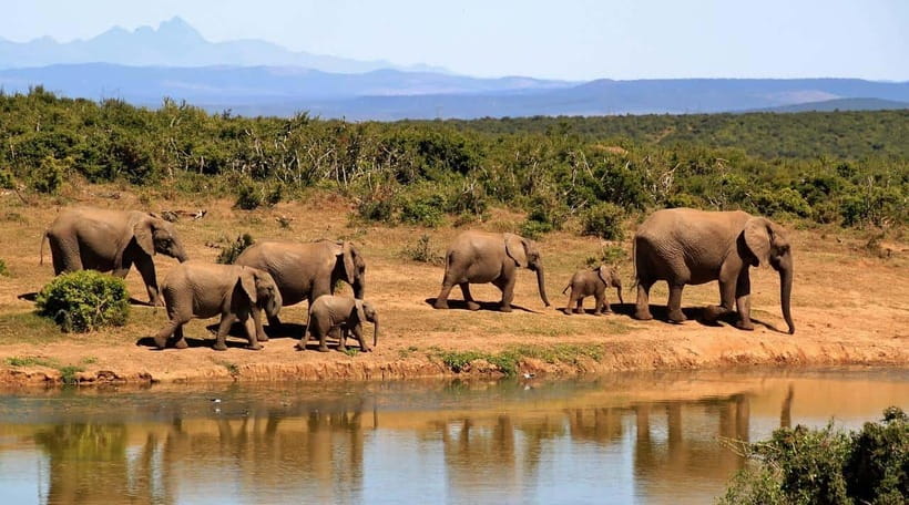 Sri Lanka Private 3-nights Tour Transport, Guide, Hotels - Practical advice for a smoother four days