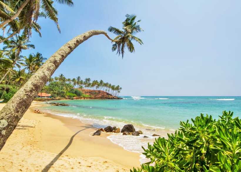 Sri Lanka Private 3-nights Tour Transport, Guide, Hotels - Should you book this Sri Lanka tour?