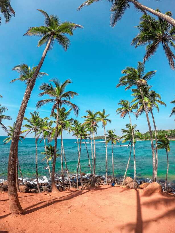 Sri Lanka Private 8-day Tour; Transport, Guide, Hotels, Food - Why this eight-day route works