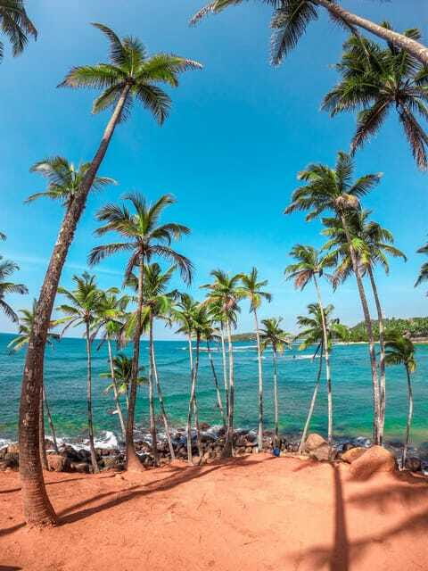 Sri Lanka Private 8-day Tour; Transport, Guide, Hotels, Food - Day 7: Yala safari and the southwest coast