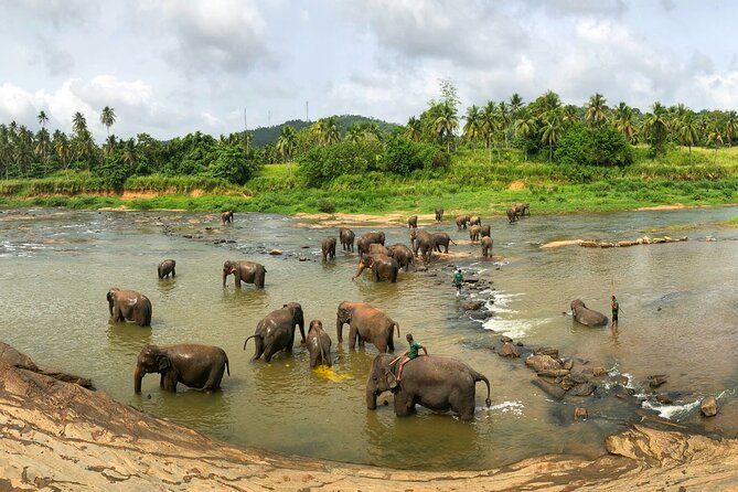 Sri Lanka Private Customizable Tour With Driver and Vehicle - Why a private car makes sense in Sri Lanka