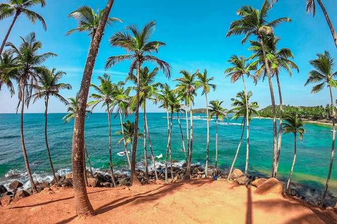 Sri Lanka Private Customizable Tour With Driver and Vehicle - Tangalle and the southern coast