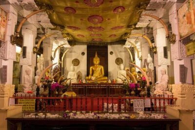 Sri Lanka Private Tour 8 days-Driver/vehicle/accommodation H/B