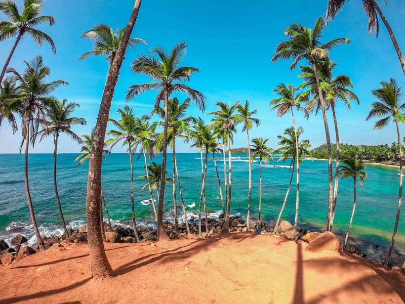Sri Lanka Private Tour- Beach, Sinharaja, Yala, Udawalawe - Key points to know before booking