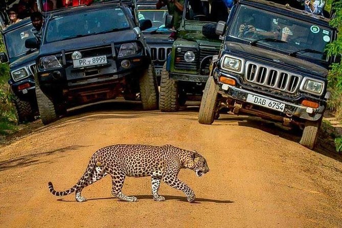 Sri Lanka private tour package 9 night 10 Day with driver+vehicle+accommodations - Day 7: Ravana Falls and Yala National Park