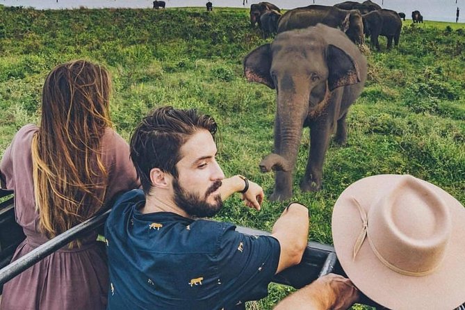 Sri Lanka private tour package 9 night 10 Day with driver+vehicle+accommodations - Day 8: The southern coast, Weligama, and Galle Fort