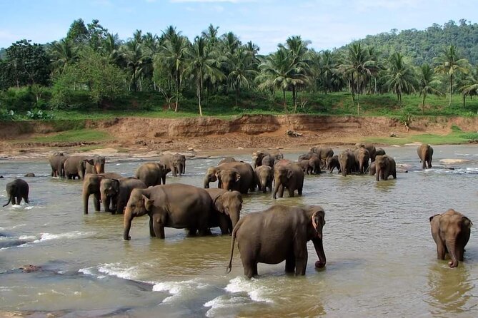 Sri Lanka Private Tour with Driver – Flexible Dates & Itinerary - Key points to know before booking