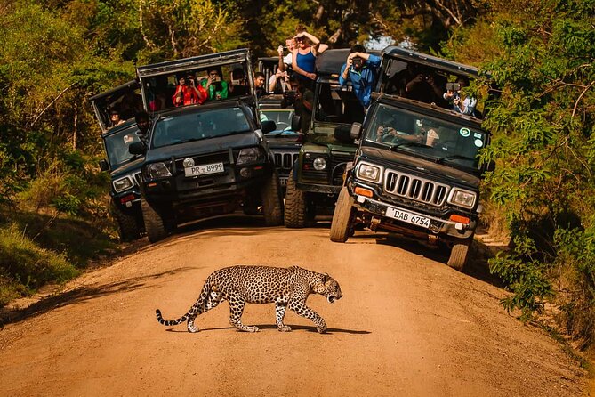 Sri Lanka Round Tour-Sigiriya, Ella Train Ride Safari Adventure - Starting at Bandaranaike International Airport
