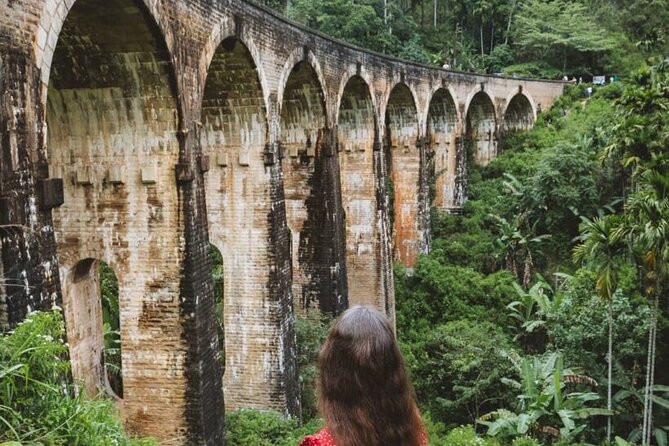 Sri Lanka Round Tour-Sigiriya, Ella Train Ride Safari Adventure - The Kandy to Ella train ride