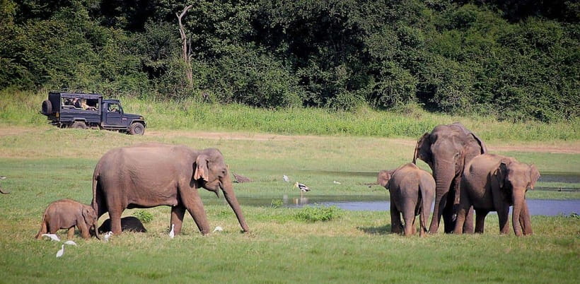 Sri Lanka: Sigiriya, Dambulla, and Minneriya Private Tour - Key points at a glance