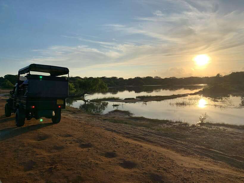Sri Lanka: Sigiriya, Dambulla, and Minneriya Private Tour - Who will enjoy this day most