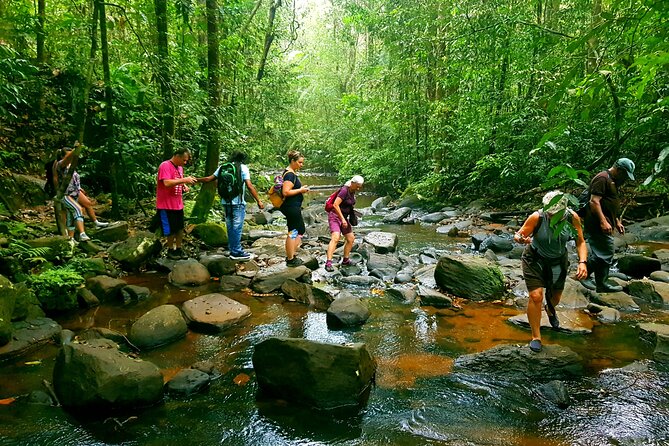 Sri Lanka Sinharaja Rain Forest Tour with Transport - Key points to know before booking