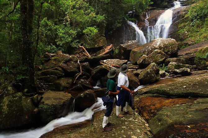 Sri Lanka Sinharaja Rain Forest Tour with Transport - Why Sinharaja is worth the long road from Bentota