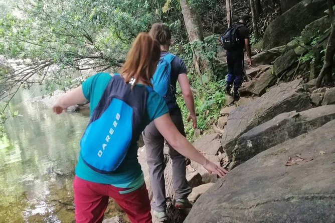 Sri Lanka Sinharaja Rain Forest Tour with Transport - Waterfalls and the payoff of the hike