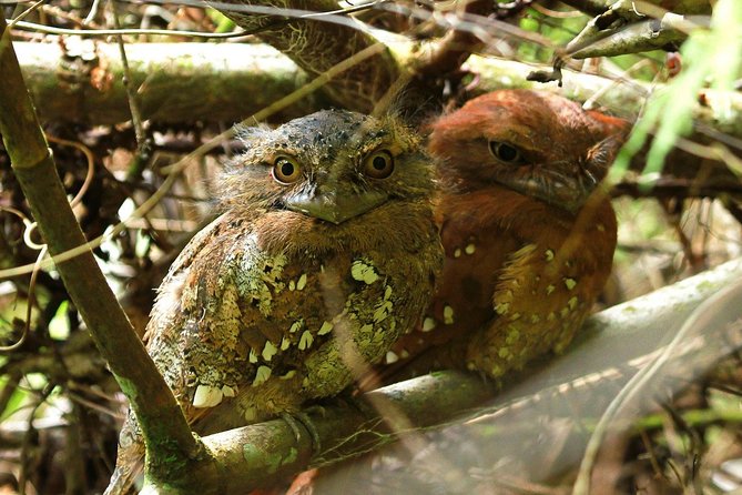 Sri Lanka Sinharaja Rain Forest Tour with Transport - How the $98 price works as a value