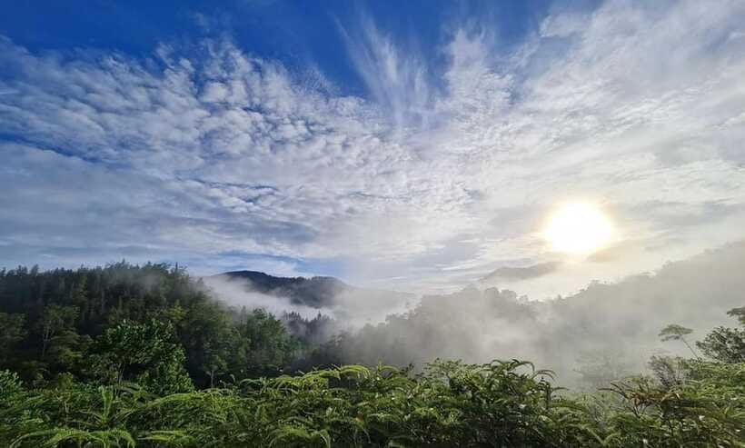 Sri Lanka : Sinharaja Rainforest Guided Trek with Pickup - The guides are part of the experience