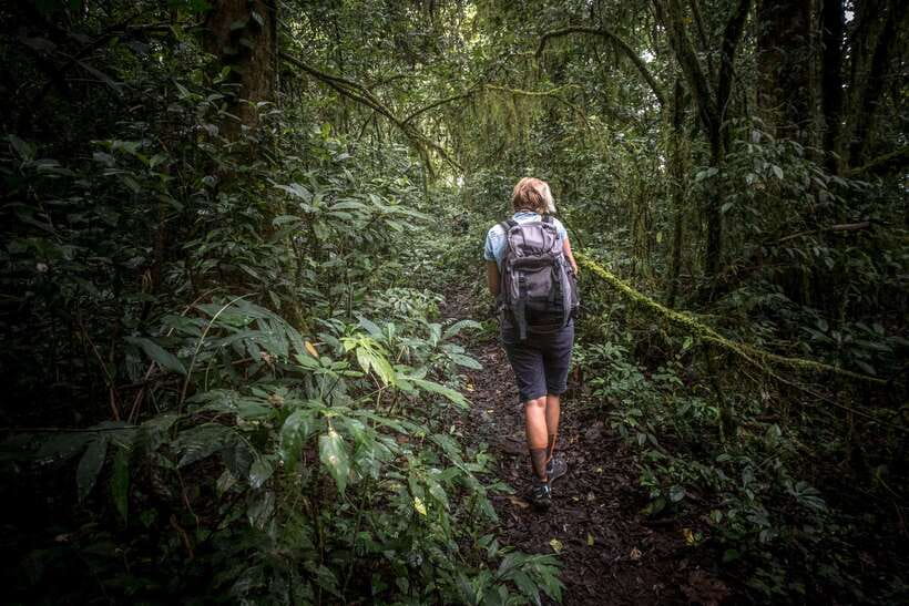Sri Lanka: Sinharaja rainforest tour from Colombo, Bentota - Five useful things to know before booking