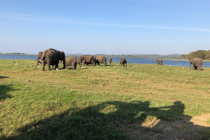 Sri Lanka Tour in 8 Days - Day 6: Rawana Ella and Yala National Park