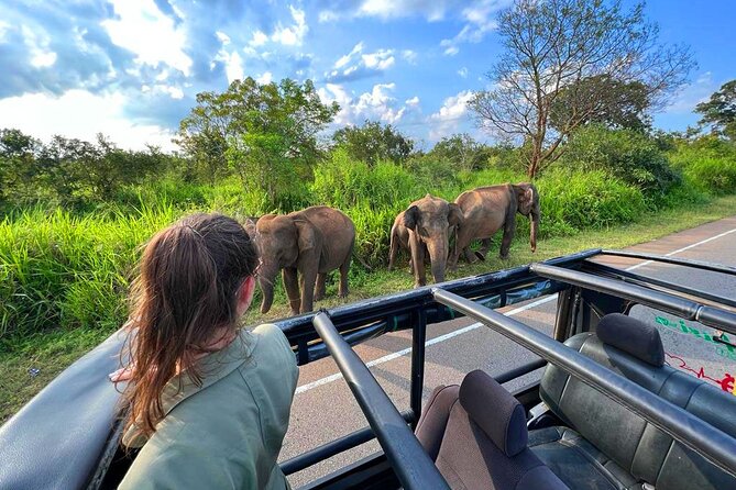Sri Lanka Travel in 08 Nights 09 Days - Day 3: Minneriya National Park and the first safari