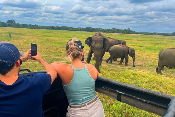 Sri Lanka Travel in 08 Nights 09 Days - Day 6: Ella’s bridge, Yala safari, and Rawana Falls