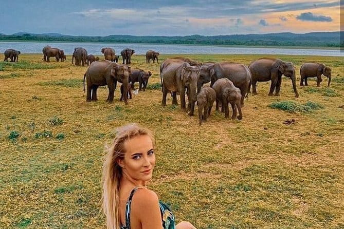 Sri Lanka V.I.P. private Tour package 4.N - 5 days oll including - Five details that shape the experience