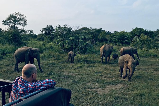 Sri Lanka Wild Life Uniqe Safari 26 - Key points to know before booking