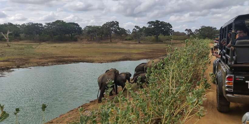 Sri Lanka: Yala National Park Private Safari - What kind of safari is this?