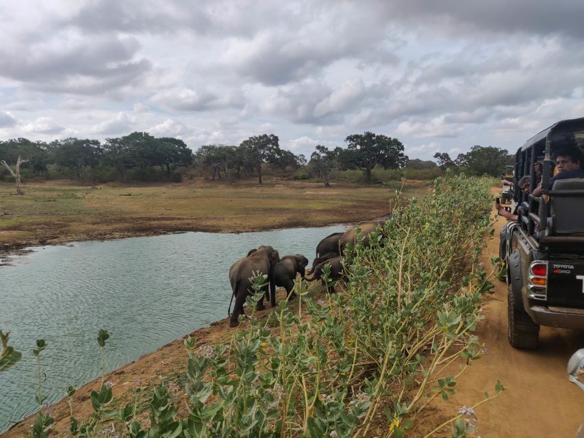 Sri Lanka: Yala National Park Private Safari - The driver can make or break the outing